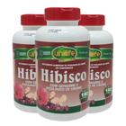 Hibisco Com Gengibre 180 Comprimidos Kit Com 3