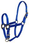 Horse Halter Hamilton 3/4 de nylon ajustável para desmame de queixo azul