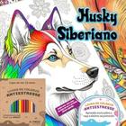 Husky Siberiano