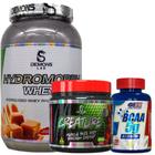 hydromorph whey 900g demons lab + bcaa 120 tabelts one + creature 200g demons lab