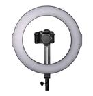 Iluminador de LED Profissional RL-288A