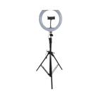 Iluminador Ring Fill Light 10'' - Jeqt