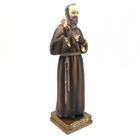Imagem De Padre Pio Com Luvas Resina 22 Cm - FORNECEDOR 16