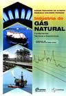 Indústria do gás natural: fundamentos técnicos e econômicos