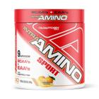 Intra amino sport 196,80g adaptogen