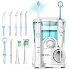 Irrigador Oral Bucal com Escova de Dente Elétrica Water Pick Bivolt 600ml