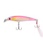 Isca Artificial Minnow Floating 9cm 8g - Deyu