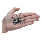 Isca Artificial Pesca Soft Aranha Anzol Tucunare Traira D