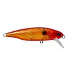 Isca Bay Hunter Minnow 70 - Marine Sports