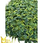 Jardim Vertical Trevo Combo 2m² Parede Decorada Mega Oferta - VITAL DECOR