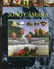 Joao camara - artes plasticas