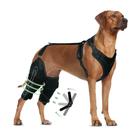 Joelheira para cães LISPOO para suporte de perna traseira do LCA rasgado (XL)