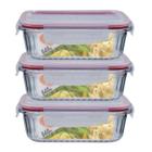 Jogo 3 Potes 640ml Hermético Anel Vedação Canelado