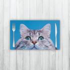 Jogo Americano 2 Un Retangular Neoprene Gato Olho Azul - Criative Gifts