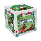 Jogo de cartas BrainBox Animals Memory & Observation 8+ Years