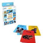 Jogo de cartas Briarpatch First 100 Animals para crianças de 2 anos ou mais