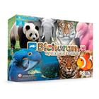 Jogo Educativo Bichorama By Animal Planet Discovery - Pais E Filhos - Pais & Filhos