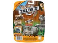 Jogo Super Trunfo - Dinossauros 2 - Grow - superlegalbrinquedos