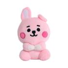 Kawaii Bt21 Brinquedos De Pelúcia Mini Chaveiro Anime Saco Pingente Macio Animais De Pelúcia Boneca