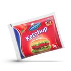 Ketchup Molho Restaurantes Bag Embalagem Com 3 Quilos