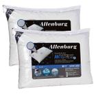 Kit 02 Travesseiros Altenburg Antistress Tech 0,50x0,70m