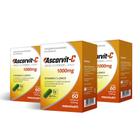 Kit 03 AscorVit Vitamina C + Zinco 60 Cápsulas Maxinutri