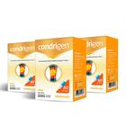 Kit 03 Condrigen Colageno Tipo 2 com 60 Capsulas Maxinutri