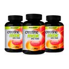 kit 03 Creatina Monohidratada Maxx Pote 300g Maxinutri