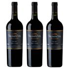 Kit 03 Unidades Vinho Rutini Trumpeter Malbec 750Ml