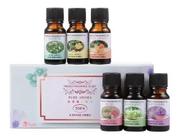 Kit 06 Fragrâncias Essência Aromatizador Umidificador Óleo