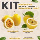 Kit 06 Mudas de Maracujá Para Consumo - AgroJardim