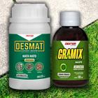 Kit 1 Desmat 250ml + 1 Gramix 100ml - Dexter Latina