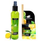 Kit 1 Perfume Ambientes + 1 Difusor Ambiente Aromas Amazonas com Varetas - Amazônia Aromas