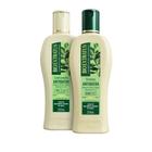kit 1 Shampoo 1 Condicionador Antiqueda Jaborandi 250 ml Bio Ext