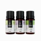 Kit 10 essencia bamboo aromatizador e dufusor 10ml