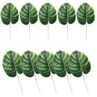 Kit 10 Folhas Costela de Adão Verde 35 CM Com Haste - Mercado Flora