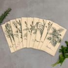 Kit 10 Panos De Prato Crú Algodão Extra Rústico Coleção Temperos Louça Cozinha Decoração