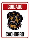 Kit 10 Placas Cuidado Cachorro Vertical Colorida 36X46