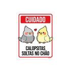 Kit 10 Placas Cuidado Calopsitas Soltas No Chão Cinza