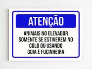 kit 10 placas de aviso animais no elevado só no colo coleira