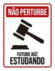 Kit 10 Placas Não Perturbe Futuro Juíz Estudando 36X46