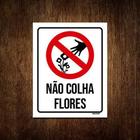 Kit 10 Placas Sinalização Não Colha Flores Jardim