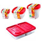 Kit 10 pote mantimentos com tampa geladeira porta frios lanche fitness comida frutas marmita vasilha - Plasútil