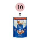 Kit 10 Rações Úmida Nestlé Purina Cat Chow Adultos Frango ao Molho Sachê 85g