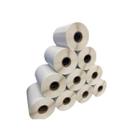 Kit 10 Rolos Etiqueta Couche Adesiva 100Mm X 30Mm