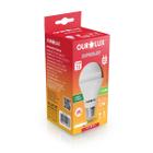 Kit 11 Lâmpada Led Bulbo 12w Branco Frio (6500k) - Ourolux