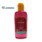 Kit 12 Aromatizador Limpeza Concentrado Desinfetante Essência Cheirosa 140ml Senalândia - Envio Já