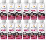 Kit 12 Bebidas Piracanjuba Whey 250 Ml - Frutas Vermelhas