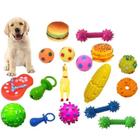 Kit 12 Brinquedos Diversos Mordedores Para Pet Cachorro