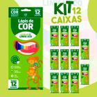 Kit 12 Caixas De Lápis de Cor Grande com 12 Unidades Atacado